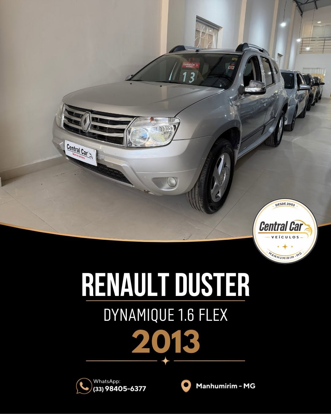 RENAULT DUSTER DYNAMIQUE 1.6 FLEX 2013